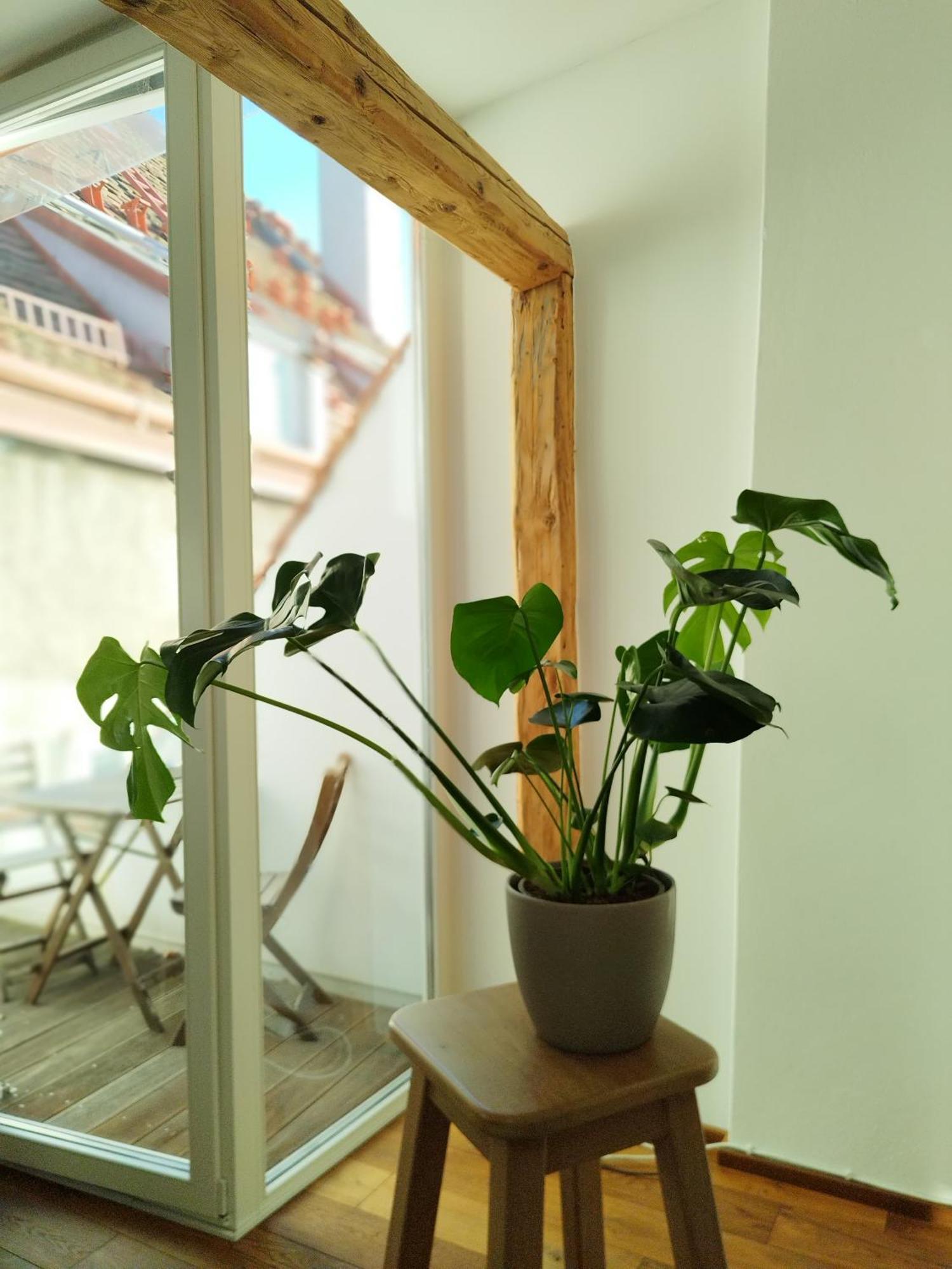 גראץ Goldene Pastete - Urban Luxury Apartments מראה חיצוני תמונה